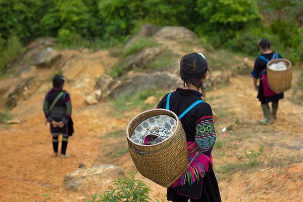 Vivupa tìm hiểu điểm du lịch cô gái hmong bản Tả Van trên Sapa
